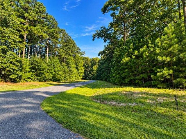 Land for sale in Painter, Accomack County