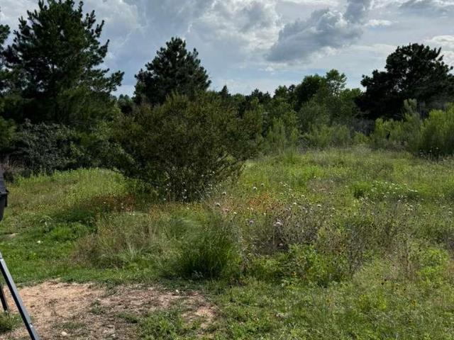 Land for sale in Paige, Texas