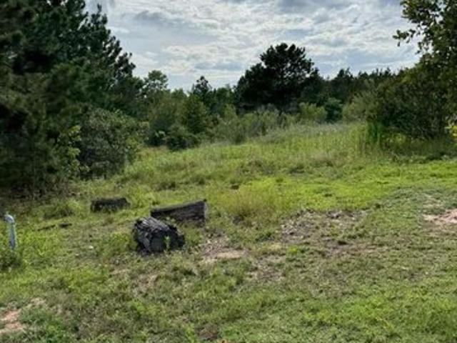 Land for sale in Paige, Texas