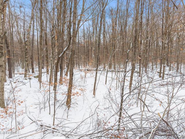 House for sale in Jefferson, New York