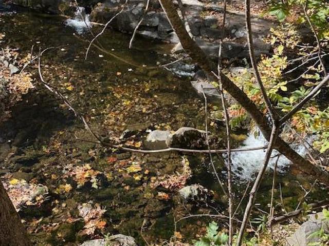 House for sale in Town of Cairo, Greene County