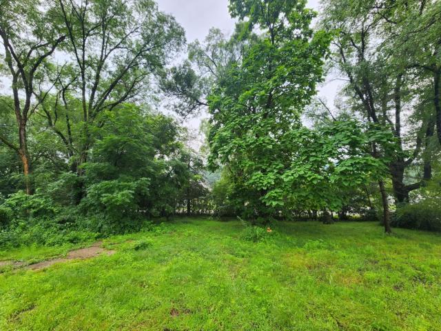 Land for sale in Avoca, Wisconsin