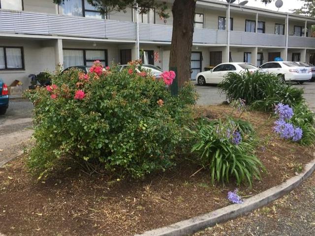 Apartment for rent in Bay Of Plenty