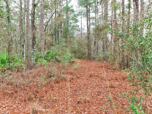 Land for sale in Guyton, Georgia