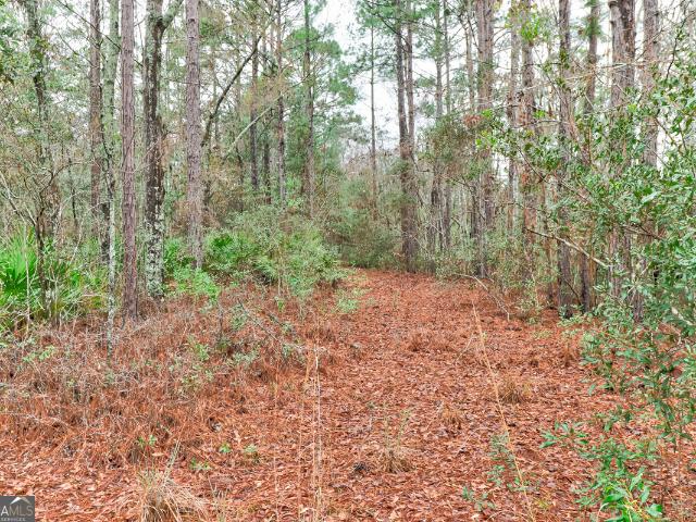 Land for sale in Guyton, Georgia
