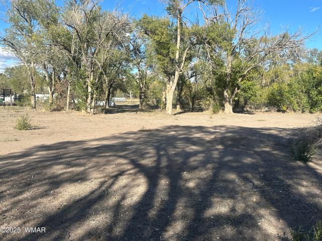 Land for sale in Springerville, Arizona