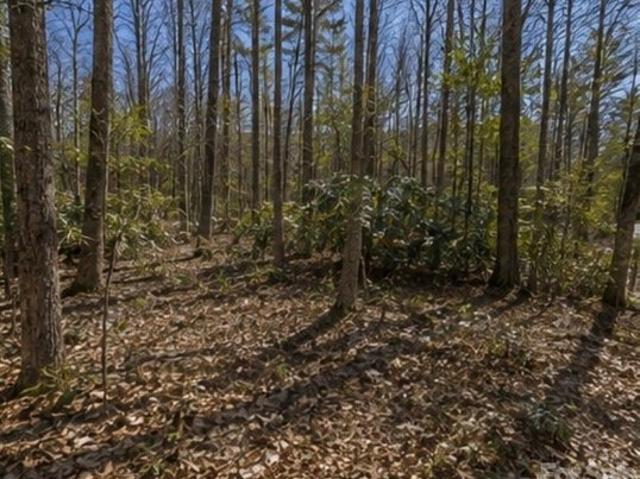 Land for sale in Transylvania, North Carolina