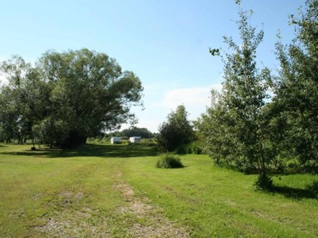 Land for sale in Alberta