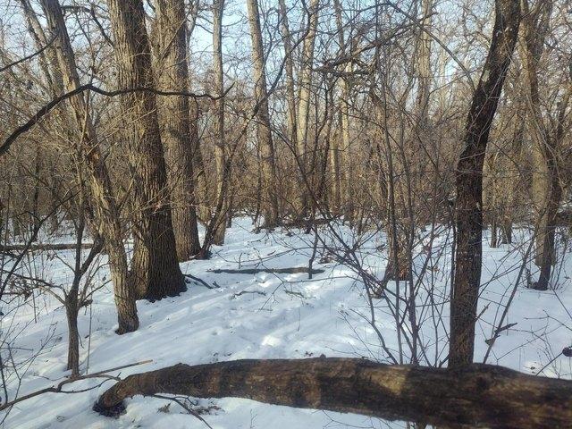 Land for sale in Salem, Wisconsin