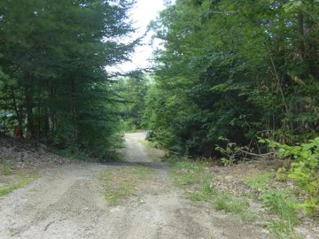 Land for sale in East Baldwin, Maine