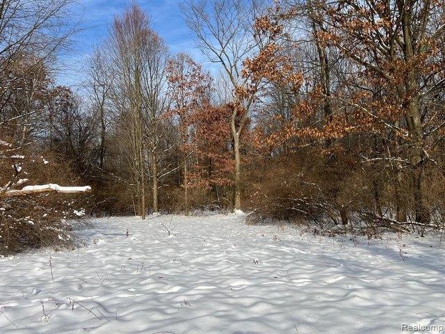 Land for sale in Deerfield, Michigan