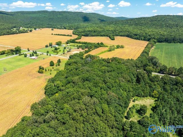 Land for sale in New Hope, Alabama