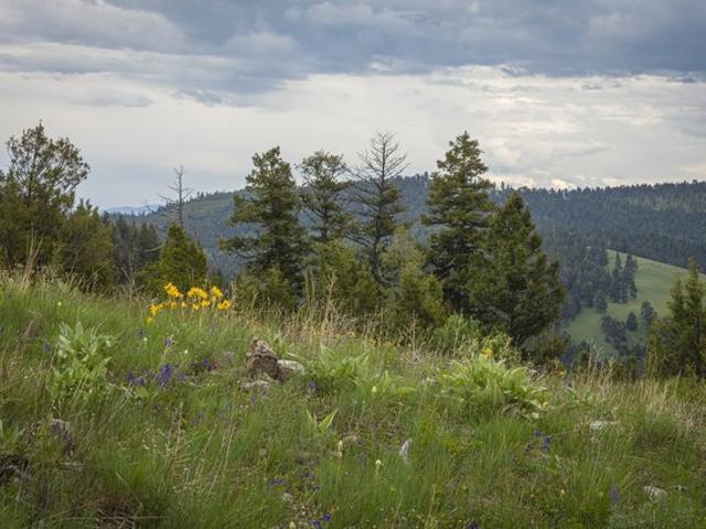 Land for sale in Granite, Montana
