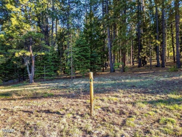 Land for sale in Arizona