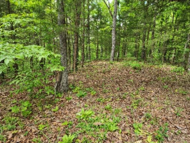 Land for sale in Tennessee