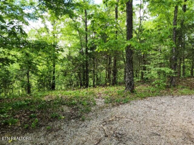 Land for sale in Tennessee