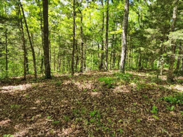 Land for sale in Tennessee