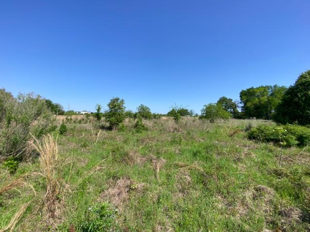 Land for sale in Madisonville, Madison County