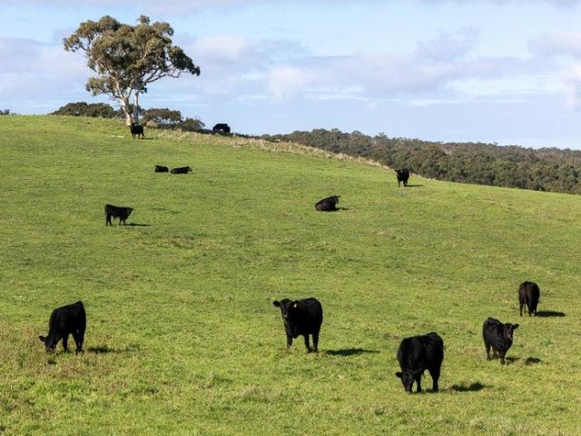 Property for sale in Macclesfield, South Australia