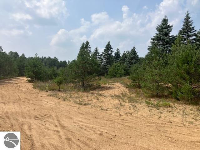 Land for sale in Buckley, Michigan