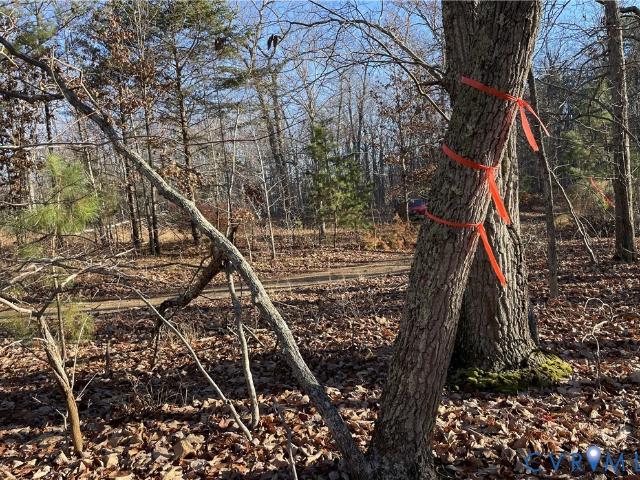 Land for sale in Keysville, Lunenburg County