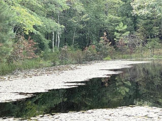 Land for sale in Keysville, Charlotte County
