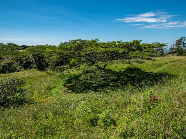 Land for sale in Durban
