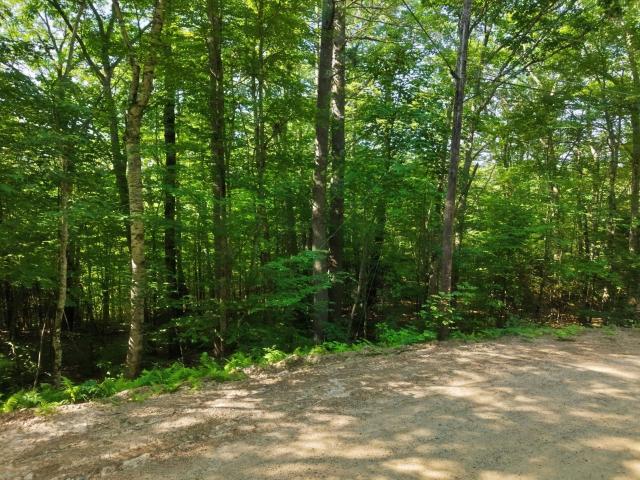 Land for sale in New Hampshire