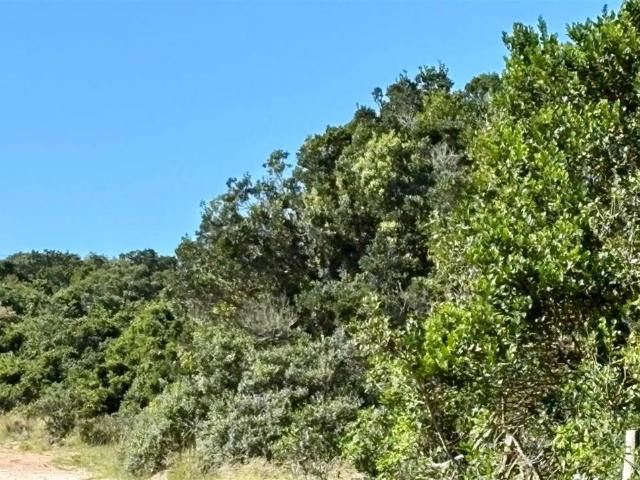 Land for sale in Eastern Cape