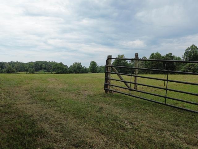 Land for sale in Columbia, Adair County