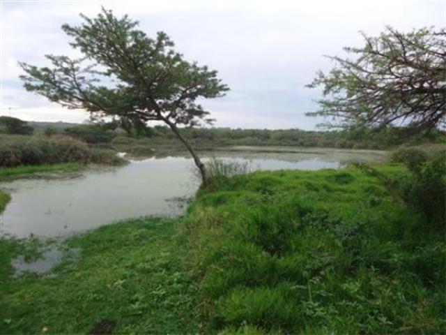Land for sale in Bisho, Eastern Cape