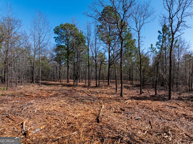 Land for sale in Waynesboro, Georgia