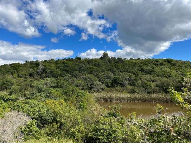 Land for sale in Bushmans River Mouth, Eastern Cape