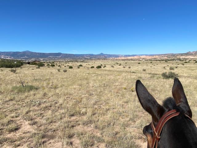 Land for sale in Abiquiu, New Mexico