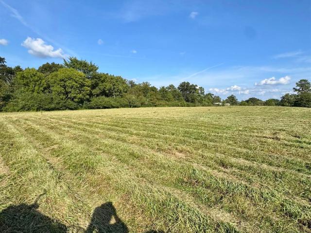 Land for sale in Section, Alabama