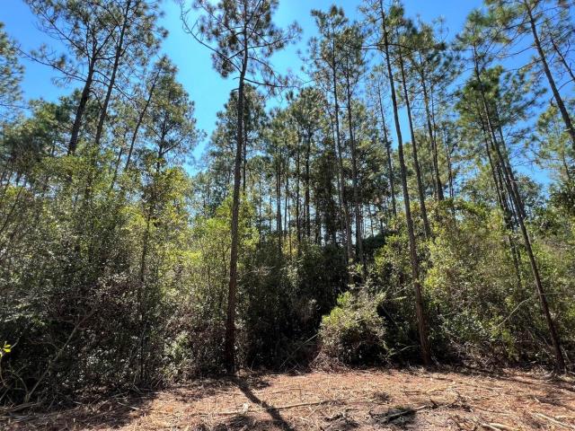Land for sale in Walton, Florida
