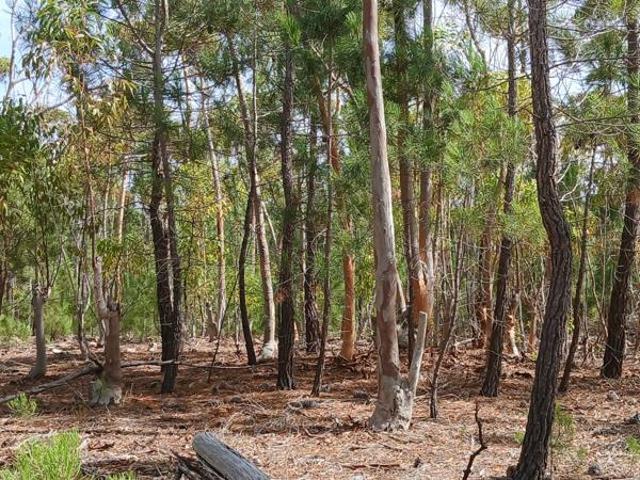 Land for sale in Western Cape