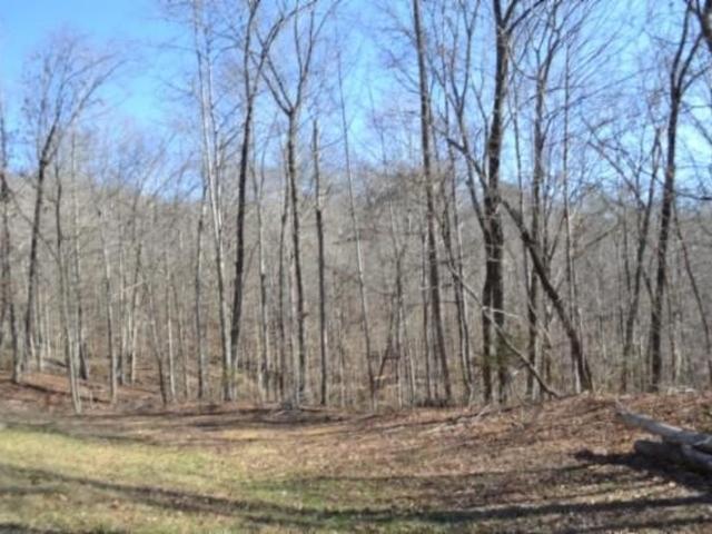 Land for sale in Tennessee