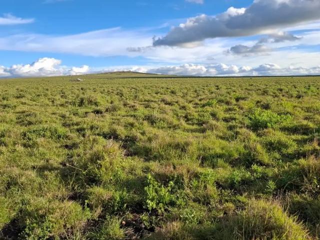 Land for sale in Machakos