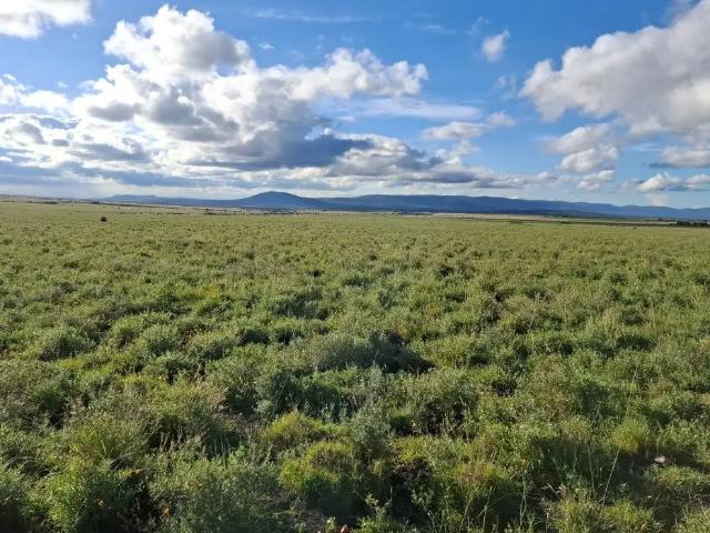 Land for sale in Machakos