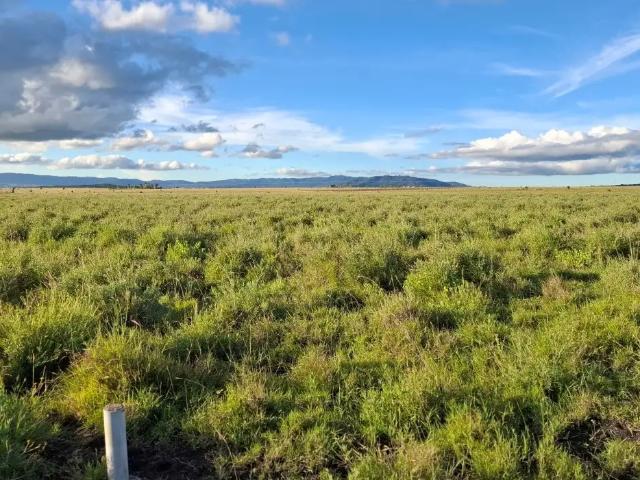 Land for sale in Machakos