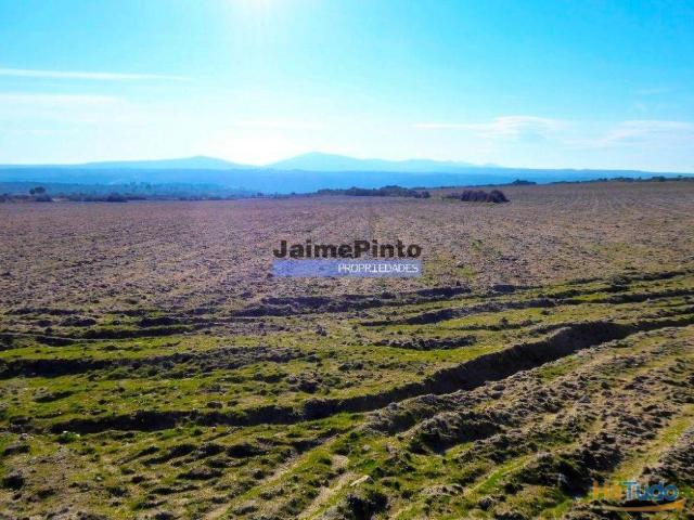 Terreno venda em Guarda, Figueira De Castelo Rodrigo