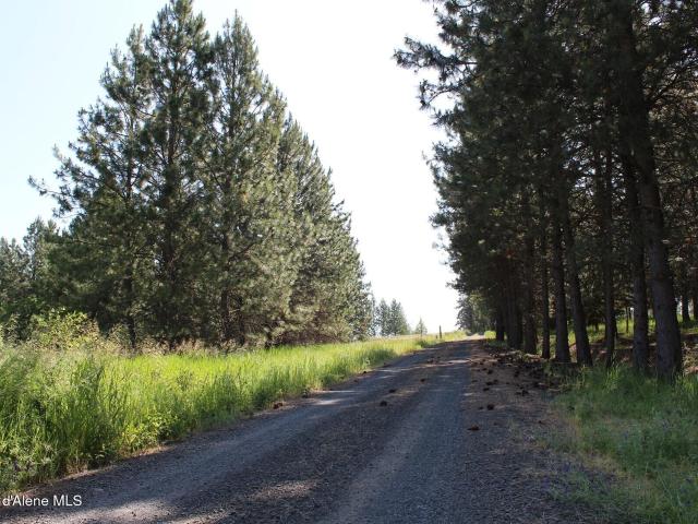 Land for sale in Harrison, Idaho