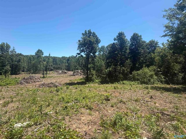 Land for sale in Grant, Alabama