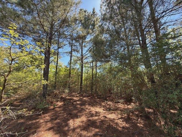 Land for sale in Leon, Texas
