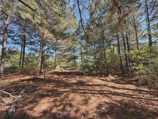 Land for sale in Leon, Texas