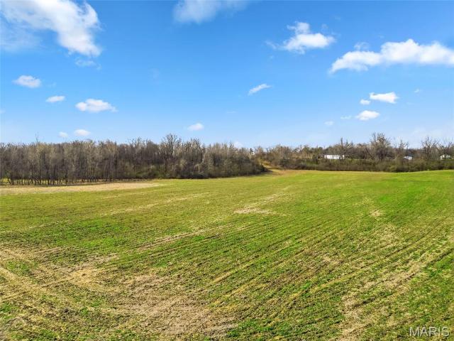 Property for sale in Elsberry, Missouri