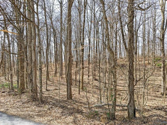 Land for sale in Tennessee