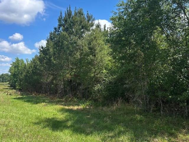 Land for sale in Glennville, Georgia