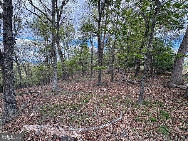 Land for sale in West Virginia